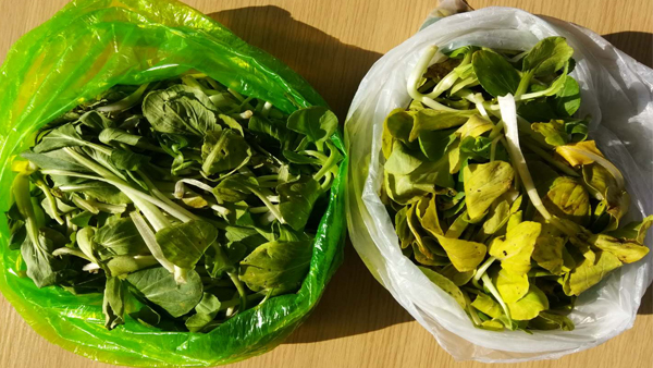 可降解塑料袋能不能放冰箱？